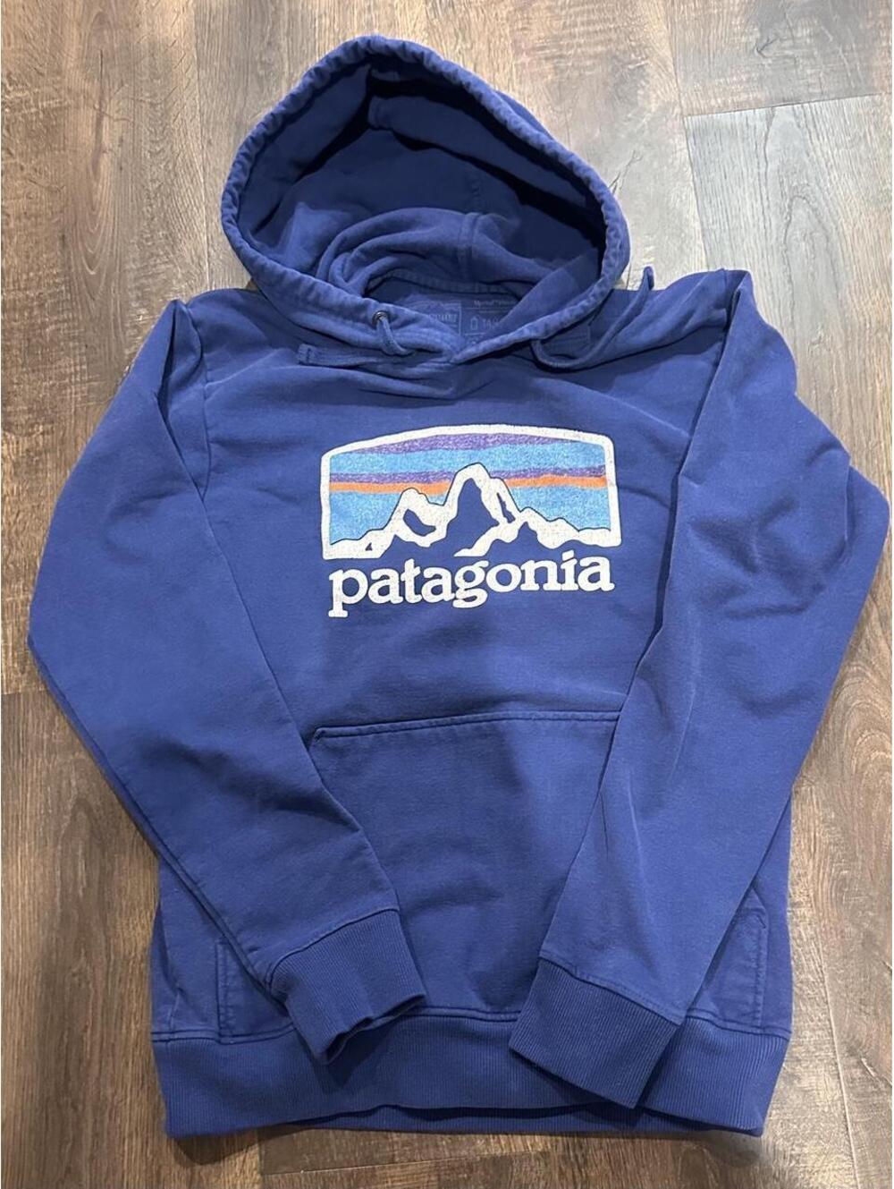 Patagonia Women's Navy and Blue Hoody